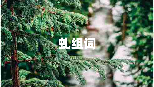 虬組詞