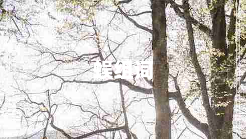 蜈組詞