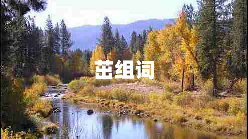 茁組詞