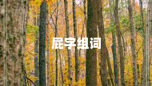 屁字組詞