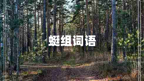 蜓組詞語(yǔ)