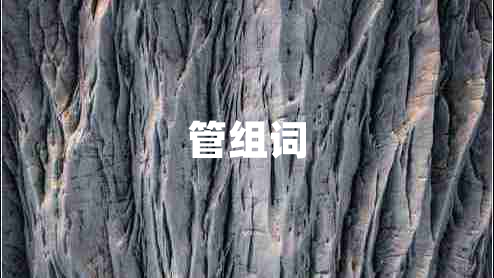 管組詞