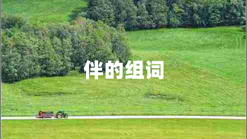 伴的組詞