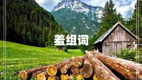 羞組詞