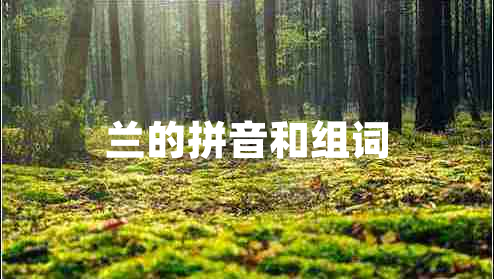 蘭的拼音和組詞