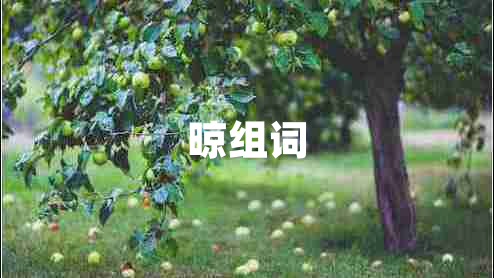 晾組詞