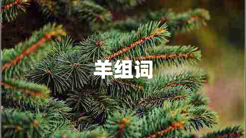 羊組詞