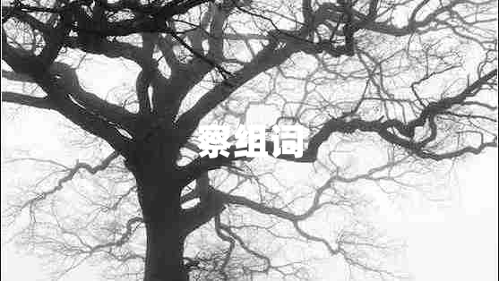察組詞