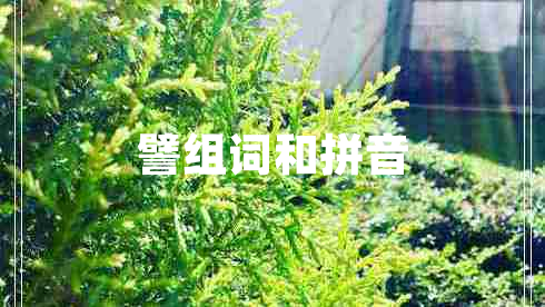譬組詞和拼音