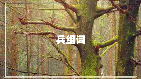兵組詞