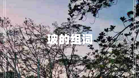 玻的組詞