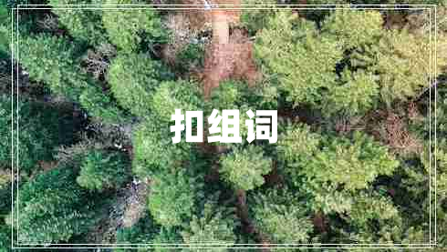 扣組詞