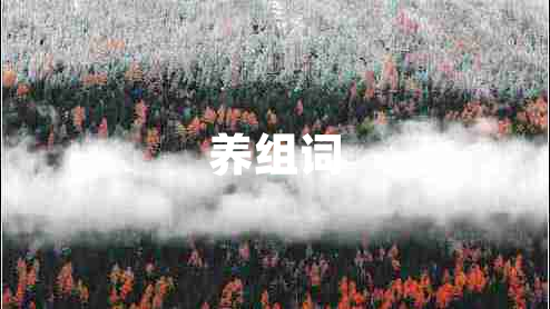 養組詞
