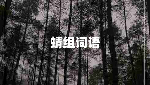 蜻組詞語(yǔ)