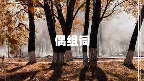 偶組詞
