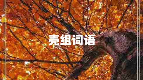 殼組詞語(yǔ)