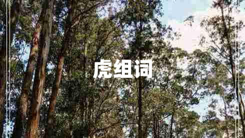 虎組詞