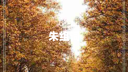 朱組詞