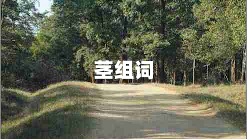莖組詞