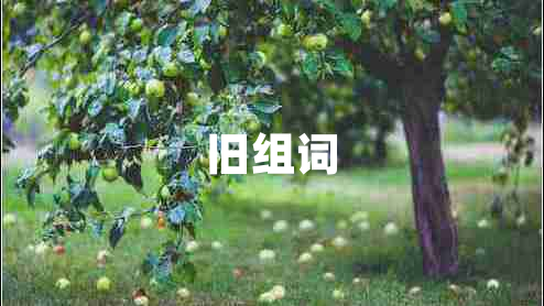舊組詞