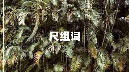 尺組詞