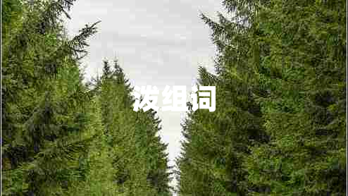 潑組詞