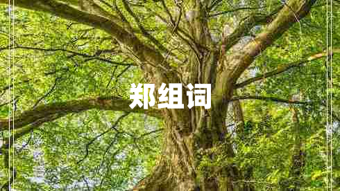 鄭組詞