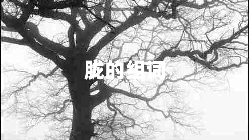 朧的組詞