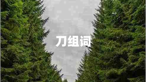 刀組詞