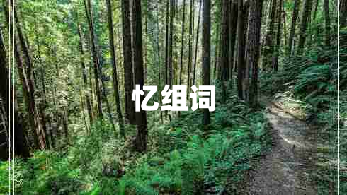 憶組詞