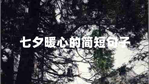 七夕暖心的簡(jiǎn)短句子