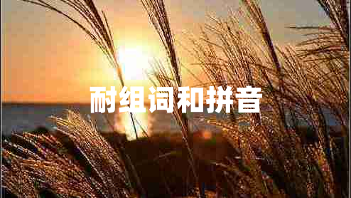 耐組詞和拼音