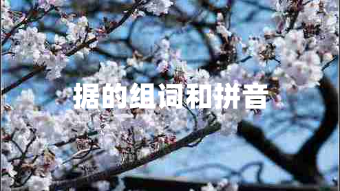 據的組詞和拼音