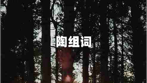 陶組詞