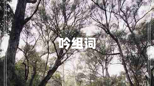 吟組詞