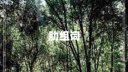 肋組詞
