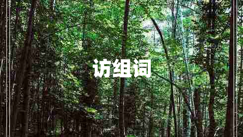 訪(fǎng)組詞