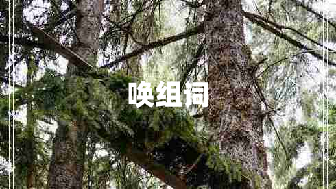 喚組詞