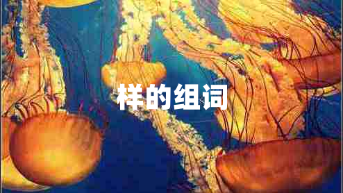 樣的組詞
