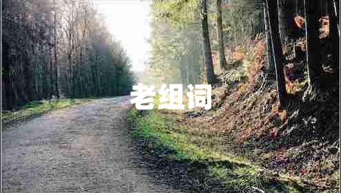 老組詞