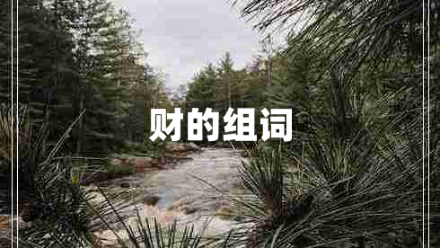 財的組詞