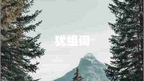 猶組詞