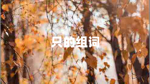 只的組詞