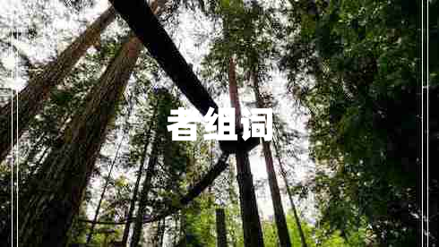 者組詞