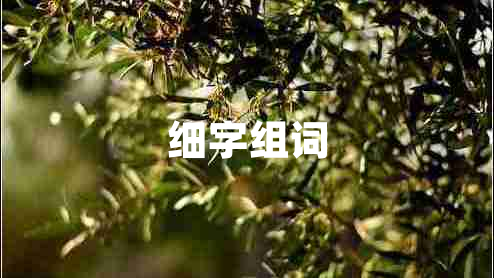 細字組詞