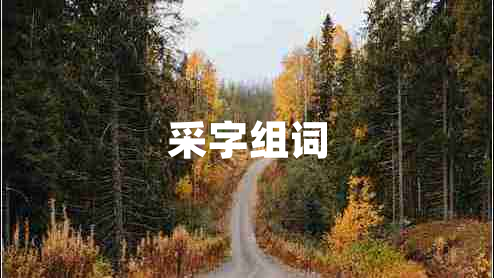 采字組詞