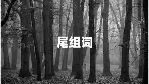 尾組詞