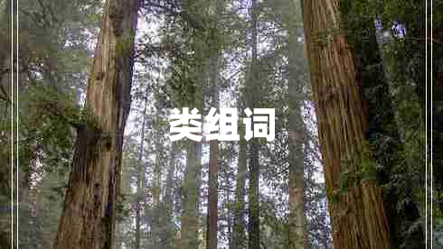 類(lèi)組詞