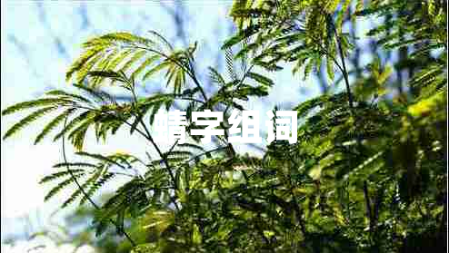 蜻字組詞