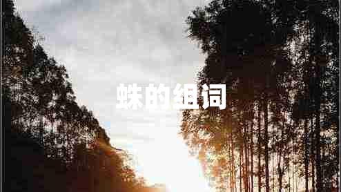 蛛的組詞
